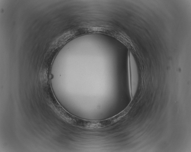 X0000086070410200704091240