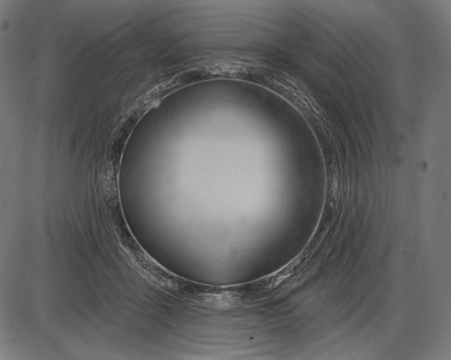 X0000086070411200704091240
