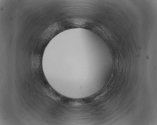 X0000086070412200704091240