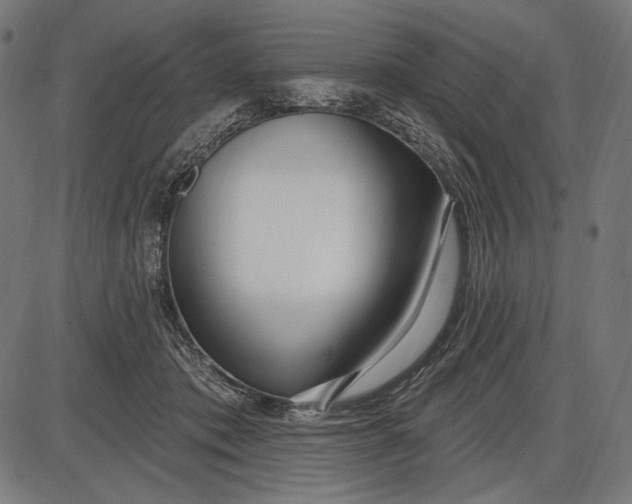 X0000086070413200704091240