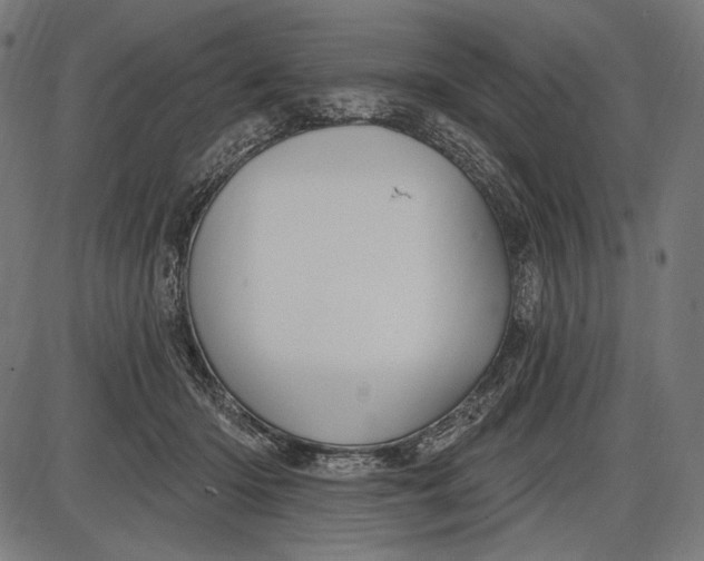 X0000086070414200704091240