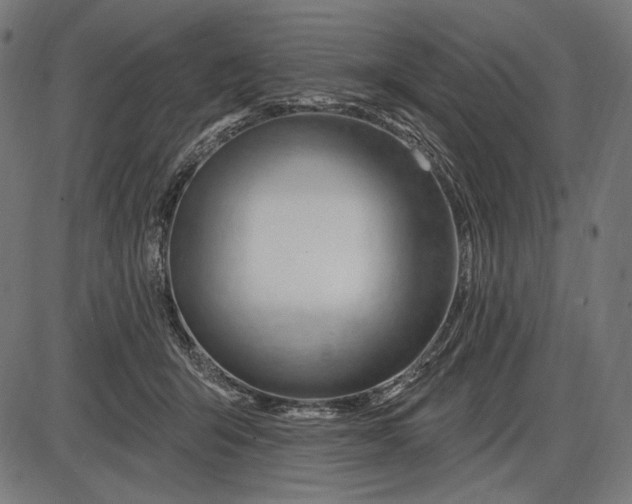 X0000086070415200704091240