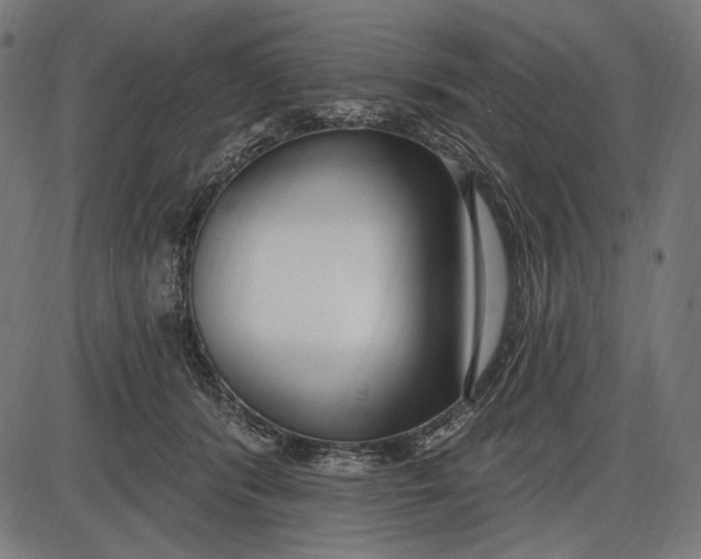 X0000086070416200704091240