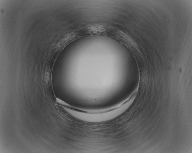 X0000086070417200704091240
