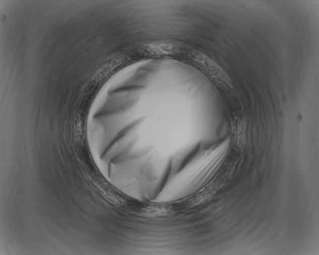 X0000086070418200704091240