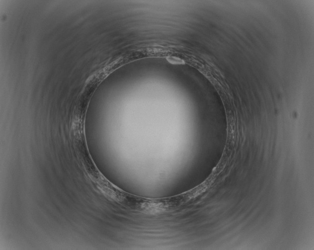 X0000086070419200704091240