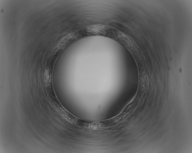 X0000086070420200704091240