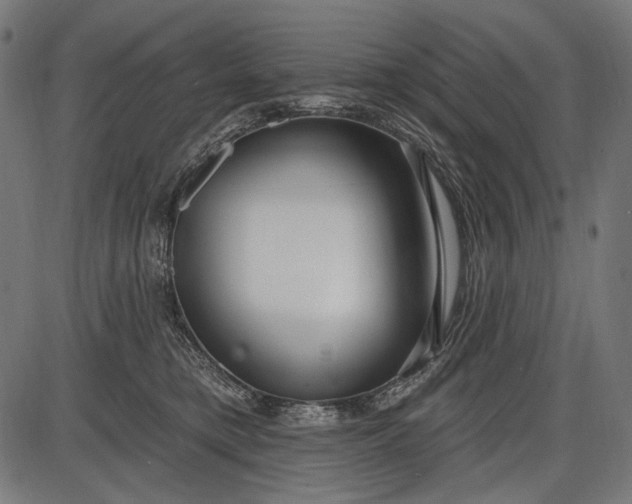 X0000086070421200704091240