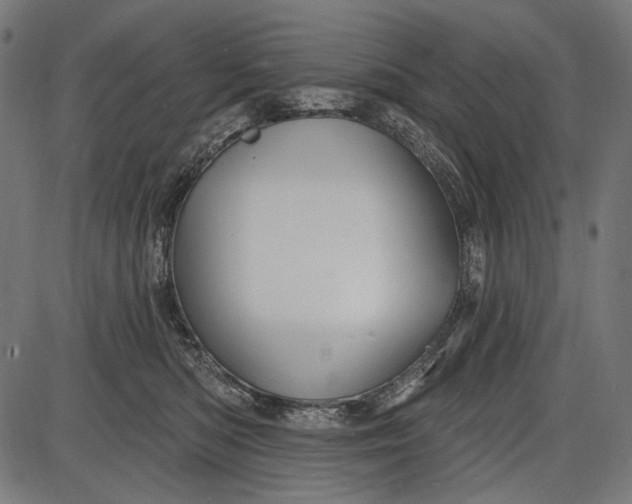 X0000086070422200704091240