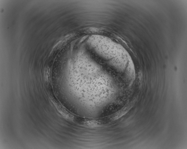 X0000086070423200704091240