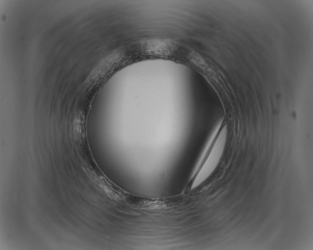 X0000086070424200704091240