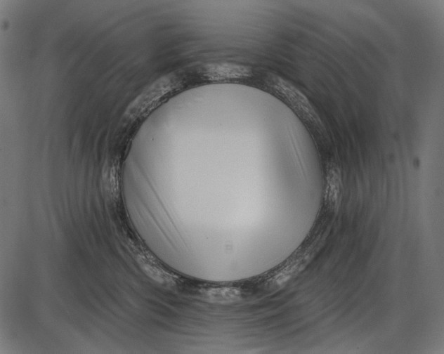 X0000086070426200704091240