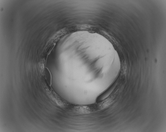 X0000086070427200704091240