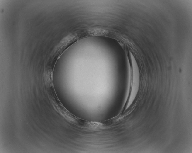X0000086070429200704091240