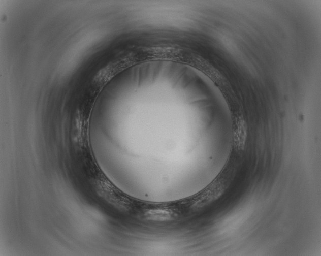 X0000086070430200704091240