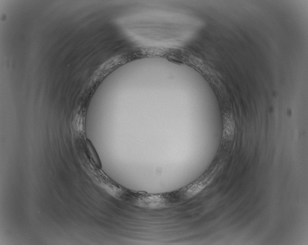 X0000086070431200704091240