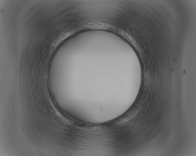 X0000086070433200704091239