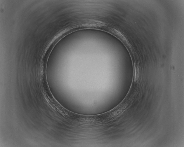 X0000086070435200704091239