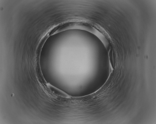 X0000086070436200704091239
