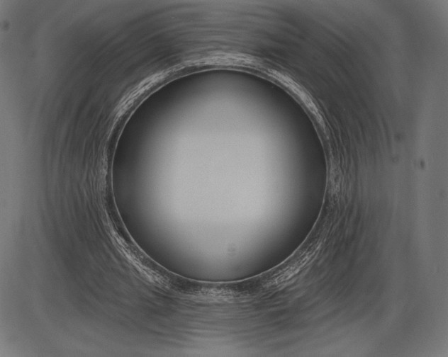 X0000086070437200704091239