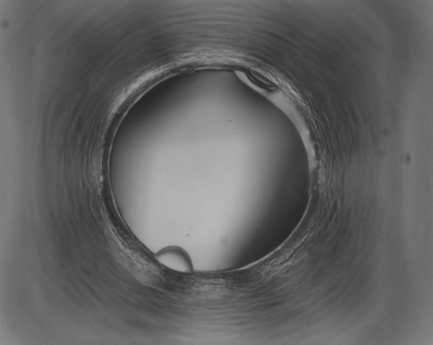 X0000086070438200704091239