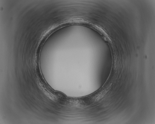 X0000086070439200704091239