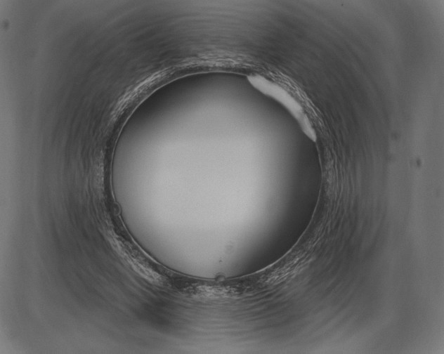 X0000086070442200704091239