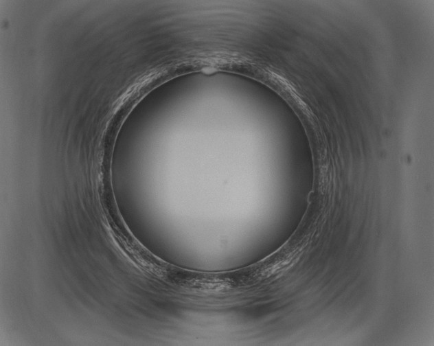 X0000086070443200704091239