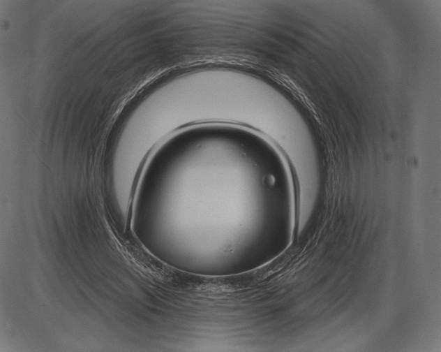 X0000086070444200704091239