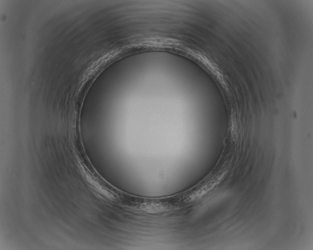X0000086070445200704091239