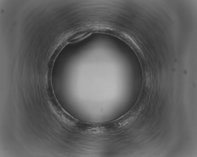 X0000086070447200704091239