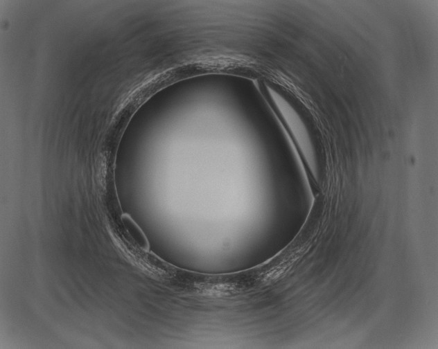 X0000086070448200704091239