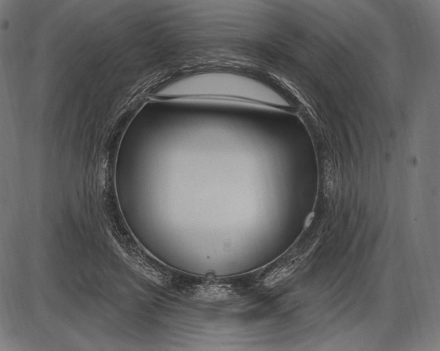 X0000086070451200704091239