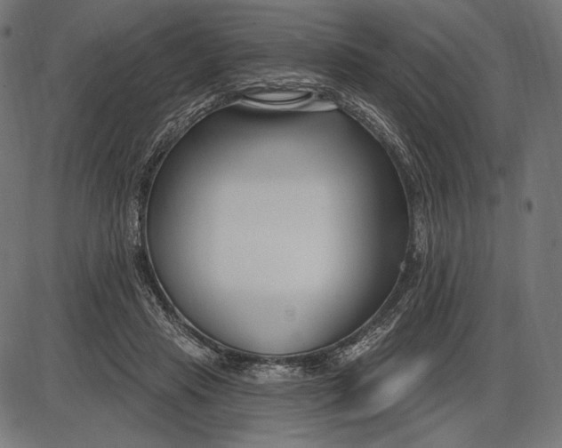 X0000086070453200704091239