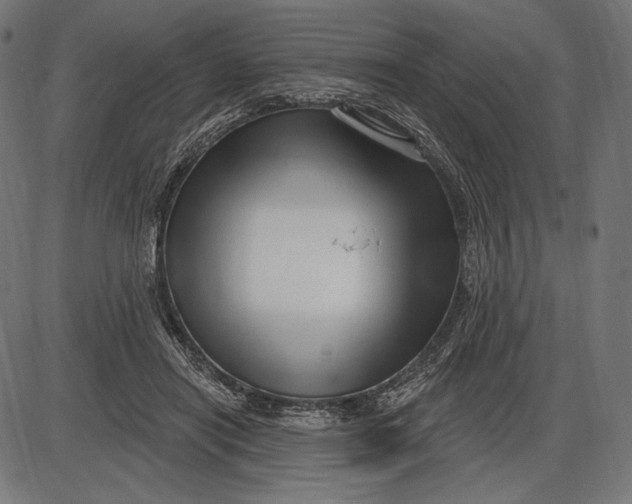 X0000086070454200704091240