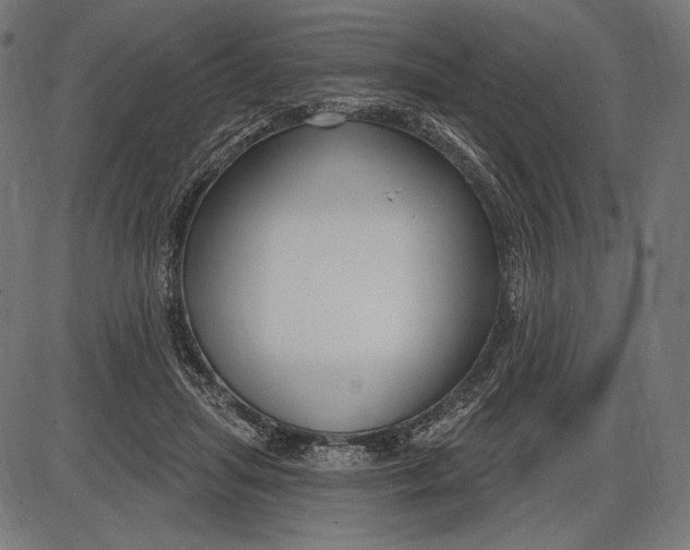 X0000086070455200704091240