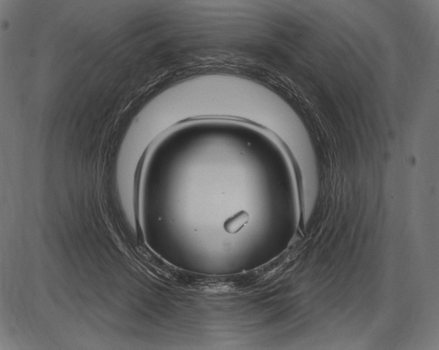 X0000086070456200704091240