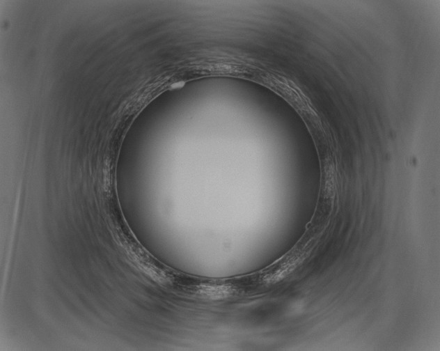 X0000086070457200704091240