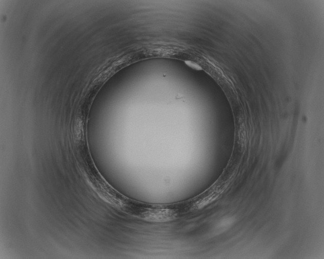 X0000086070459200704091240