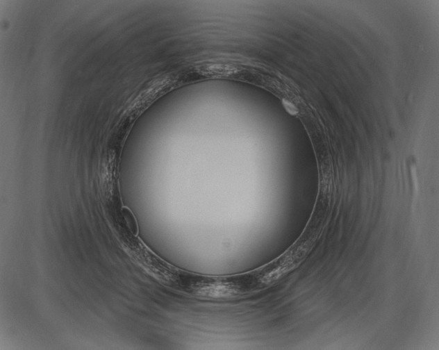 X0000086070460200704091240