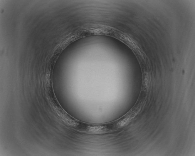 X0000086070461200704091240