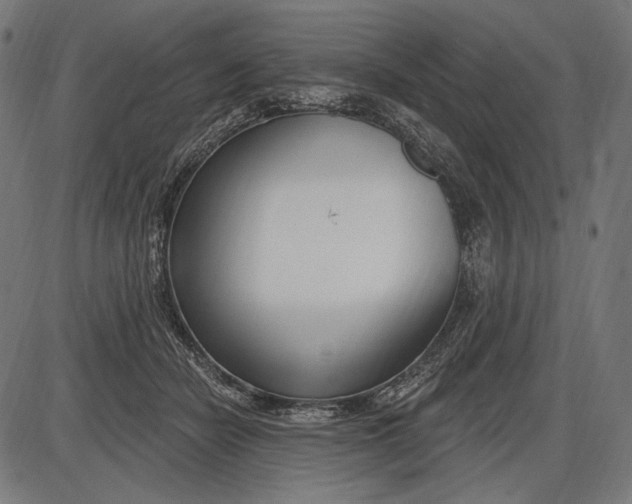 X0000086070462200704091240