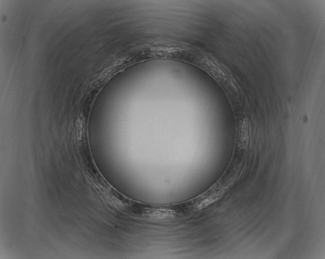 X0000086070463200704091240