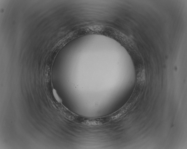 X0000086070464200704091240