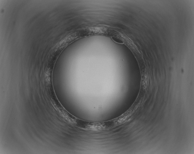 X0000086070466200704091240