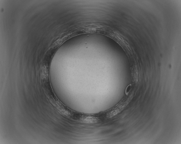 X0000086070467200704091240