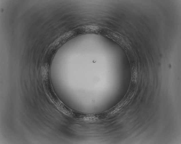 X0000086070468200704091240