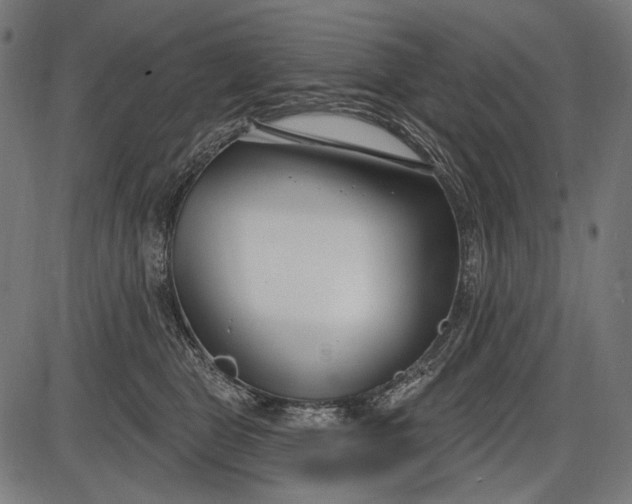 X0000086070469200704091240