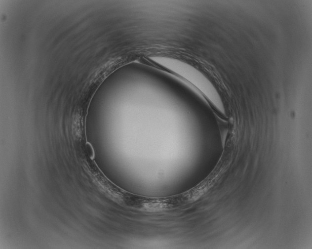 X0000086070470200704091240