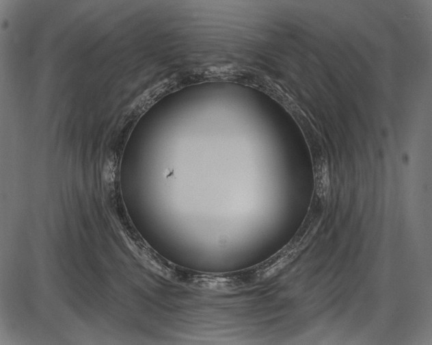 X0000086070472200704091240
